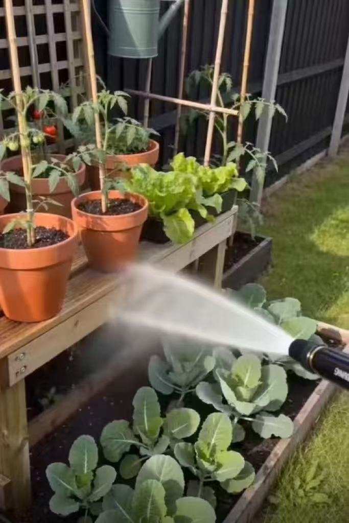 Garden hose nozzle gently watering flowers and plants with a soft mist spray